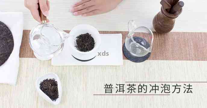 全面指南：如何正确泡制青普洱茶，解决用户可能遇到的所有问题