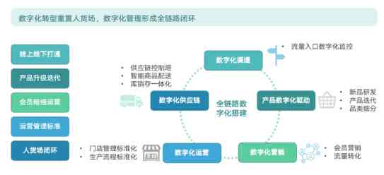 黄金四叶草的价格、购买渠道以及价值分析，一站式解答您的疑问