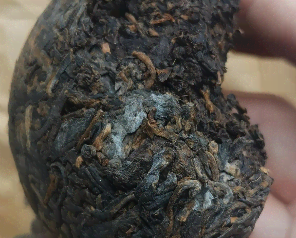 普洱茶熟茶一斤多少钱合适