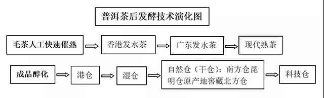 普洱茶熟化过程优化及其在新型饮料开发中的应用研究