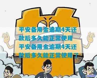 平安备用金逾期费太贵怎么办？如何处理高额逾期费用？