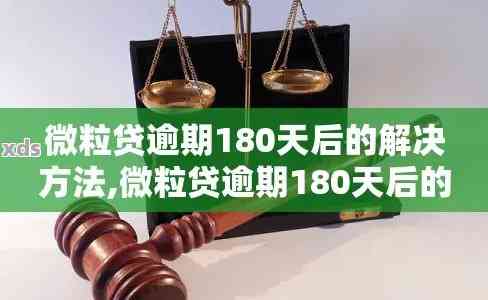 '微粒贷逾期180天后的处理方式与后果：如何避免信用受损？'