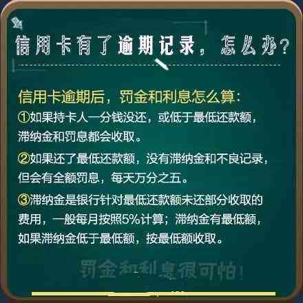 兴业银行信用卡逾期十天处理指南：避免严重后果的关键信息