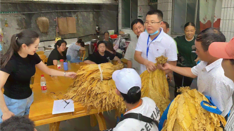 兴业银行逾期10天是否会上？影响有哪些？如何解决逾期问题？