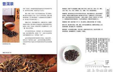 云南茶树王普洱茶熟茶：品质、制作工艺与口感的全面解析，助您选购优质熟茶