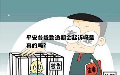 逾期一年的平安普贷款：潜在后果与应对策略