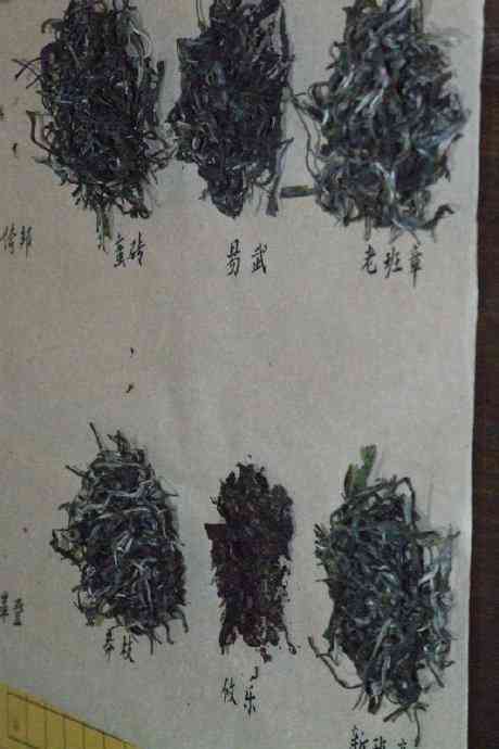 普洱茶饼200克直径尺寸