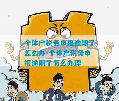 个体户逾期申报怎么在电子税务局处理