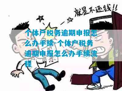 个体户逾期申报怎么在电子税务局处理