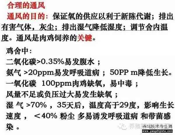 普洱茶保存的科学之道：为什么通风是关键因素？