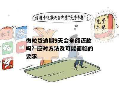 微粒贷逾期全款还款详细指南：如何避免逾期、提前还款以及相关费用解答