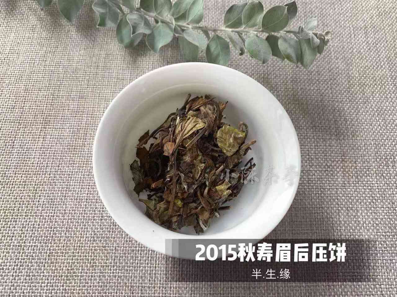 生普洱茶饼怎么撬不掉渣