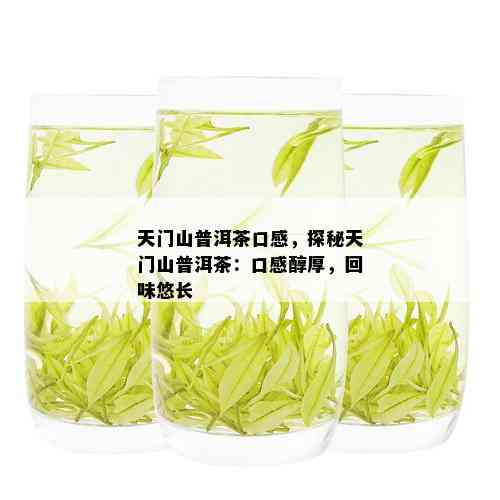 天门山普洱茶口味怎么样