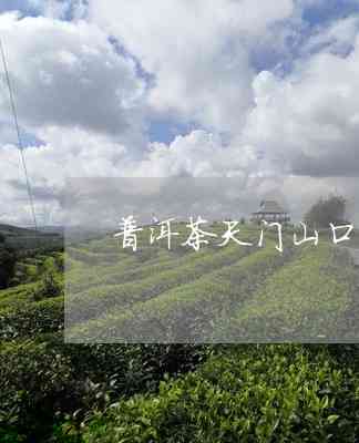 天门山普洱茶口味怎么样