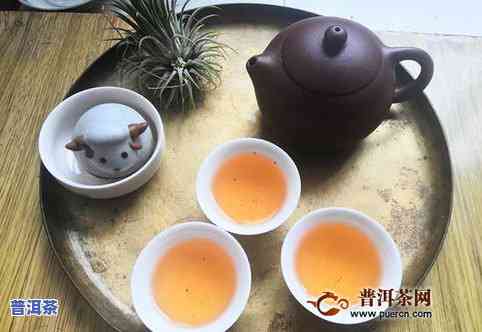 普洱茶一壶一香是什么意思？一壶普洱茶多少钱？