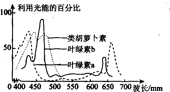 深入探讨：和田玉鉴定过程中的吸收光谱特征及其意义