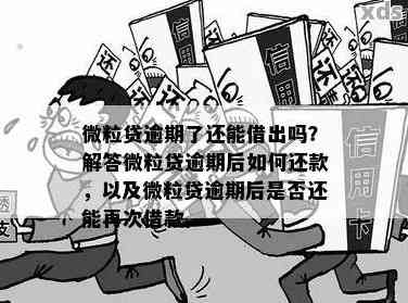 全面解决用户疑问：微粒贷逾期整治方案详细介绍及应对策略