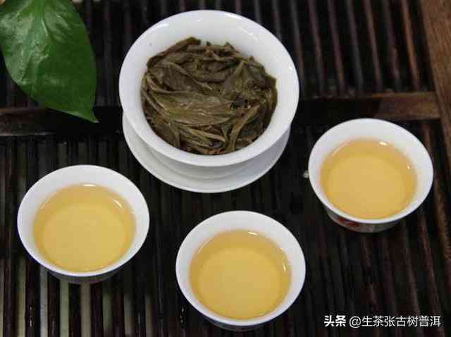 秋天品茗，品味普洱茶的多重韵味：了解不同产地与节特点