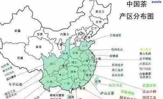 全国各省市普洱茶产地大揭秘：哪些省份是普洱茶的主要生产地？