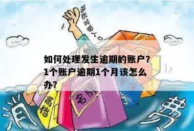 六个账户逾期一次怎么处理：解决方案