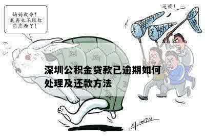 深圳公积金逾期还款处理方法资讯：如何避免贷款逾期并顺利还贷？