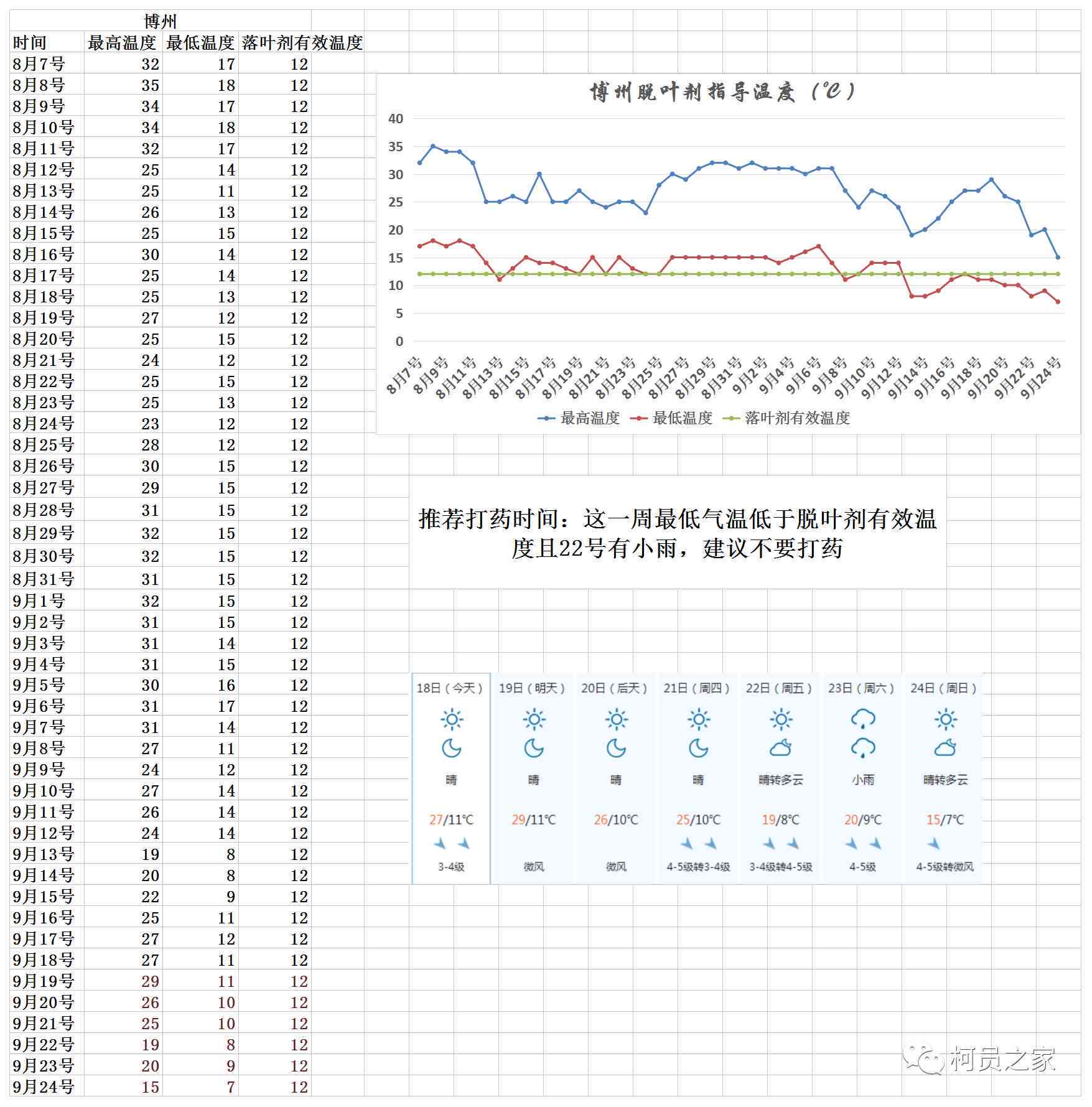 普洱茶400克全解：价格、品质、功效及购买指南一文搞定