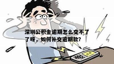 深圳公积金逾期补缴