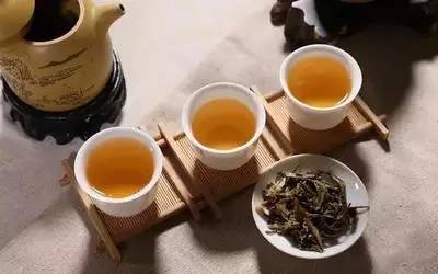 普洱茶百岁茶是什么茶叶