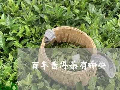 普洱茶百岁茶是什么茶类