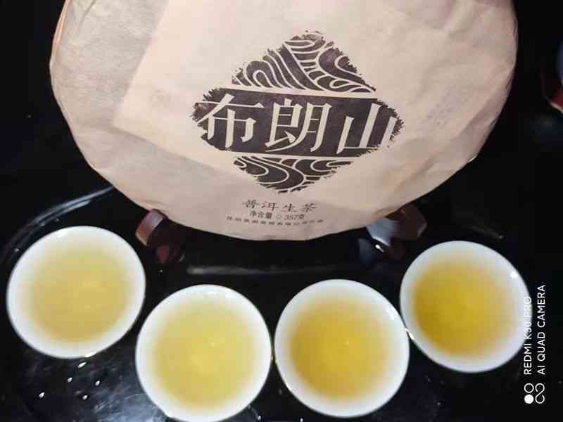 2010年布朗山纯正普洱生茶：口感独特，古树精选，收藏佳品