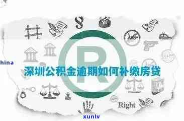 深圳公积金贷款逾期补扣全流程，如何办理及补交方法详解