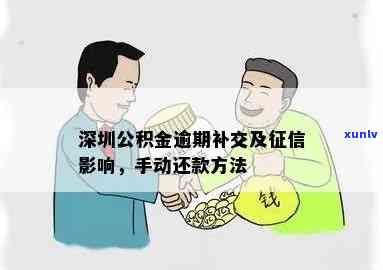 深圳公积金贷款逾期还款攻略：期、补交、影响与解决办法