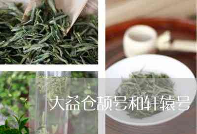 新大益普洱茶的生产工艺详解：从采摘到制作的全过程及其影响因素