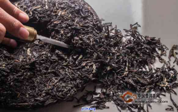 探究普洱茶陈化发酵过程及其对茶叶品质的影响