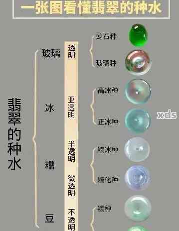 '翡翠种水嫩是什么意思':探索翡翠种水嫩的含义及其佩戴效果