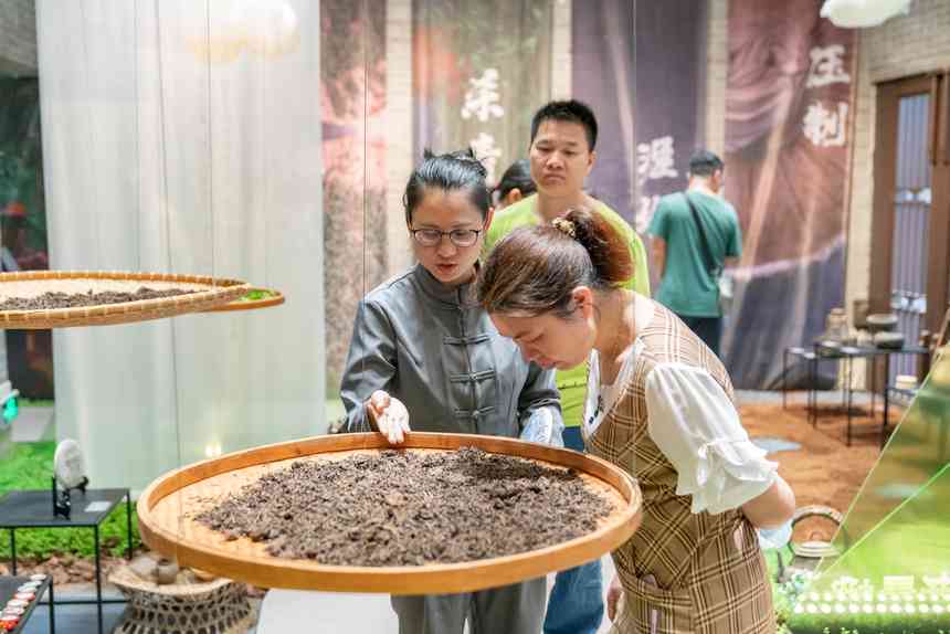 旋转展示盘在普洱茶品鉴活动中的运用与操作技巧详解