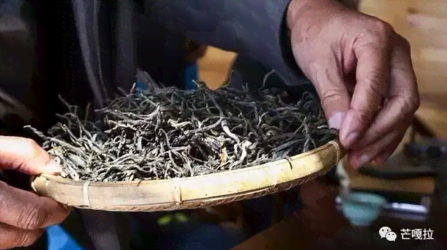 有点甜的古树普洱茶：品尝与健之间的微妙平