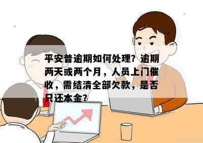 逾期六个月后，平安普是否真的会上门？