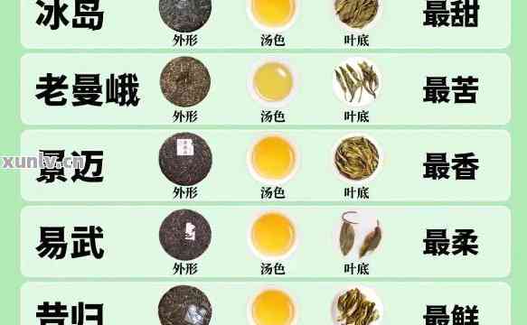 普洱茶品种全解：从甜蜜到苦涩，一网打尽各种口感普洱茶推荐