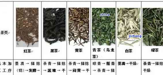 普洱茶品种全解：从甜蜜到苦涩，一网打尽各种口感普洱茶推荐