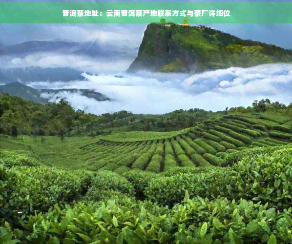 云南普洱茶基地在哪：云南普洱茶生产基地位置详解