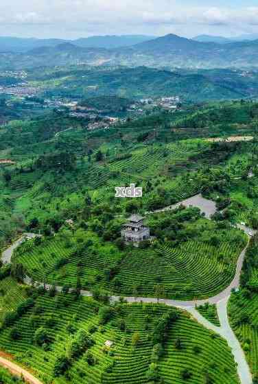 云南普洱茶基地在哪：云南普洱茶生产基地位置详解