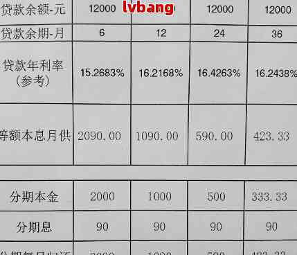 网商贷2万元一年的利息和还款详细计算，助您全面了解贷款成本