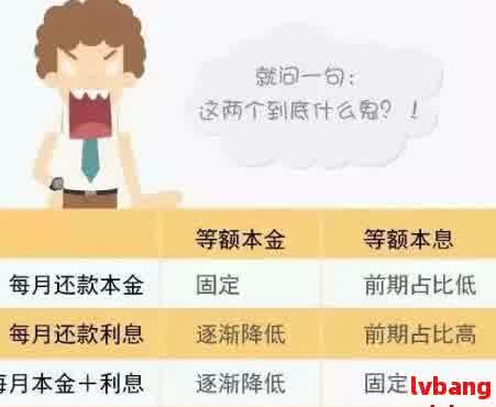 网商贷2万元一年的利息和还款详细计算，助您全面了解贷款成本