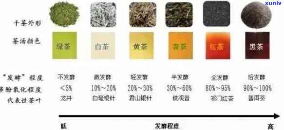 普洱茶：绿茶与其它种类的比较，如何选择最适合你的茶叶？