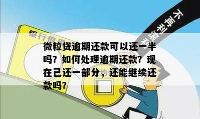 微粒贷逾期还款攻略：部分还款是否有效？如何确保效果？