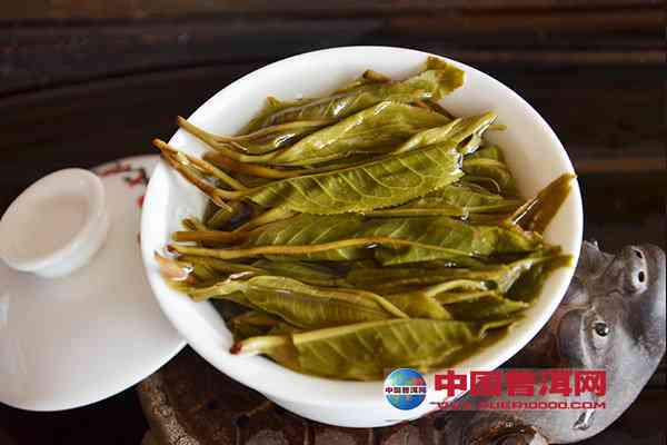 探究普洱茶：与甜的独特风味区别