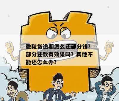 微粒贷逾期还款攻略：部分还款是否有效？如何确保效果？