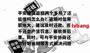 逾期四天的平安贷款处理策略与信用影响分析