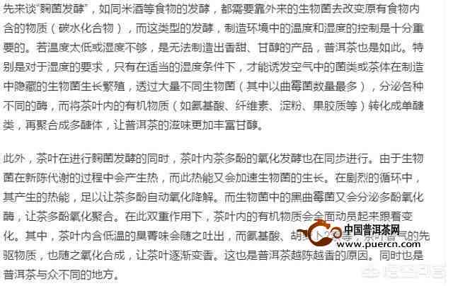 普洱茶放糖不甜的原因分析报告：探讨普洱茶加糖后口感不佳的现象。